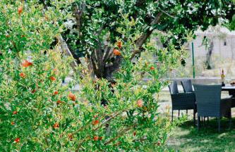 Stone House in Dikella - Foto 50