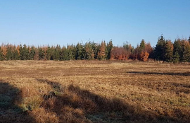 4 Person Holiday Home in Skaerbaek-by Traum - Photo 20