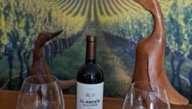 Garnacha Tinta VT-LR-2179 - Photo 2