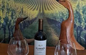 Garnacha Tinta VT-LR-2179 - Foto 2
