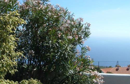 Casa Los Viñedos B - Foto 17