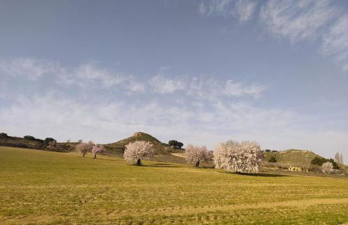 Casa Rural La Galana Albacete - Foto 15