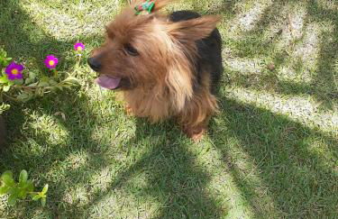 " Seu Cantinho" - Foto 34