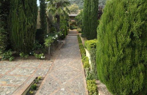 Finca La Alcolehuela - Foto 34