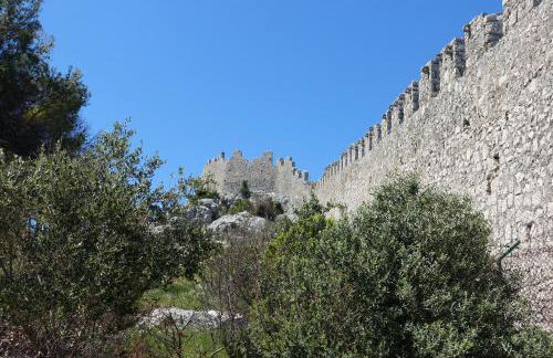 Villa Salvia Adriatica - Foto 40