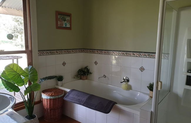 Jilly Park Farm Interactive Experience - Foto 15