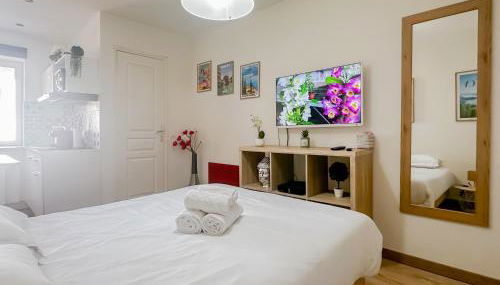 Canopee rue Carnot Annecy - Foto 4