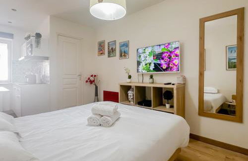 Canopee rue Carnot Annecy - Foto 4