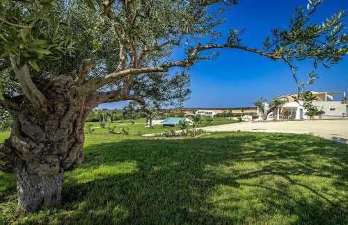 Shalamu Luxury Apartments - Foto 17