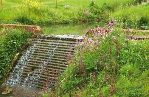 Brook Lodge Essex - Foto 15