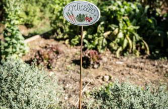 Terre di Cocomo - Foto 36