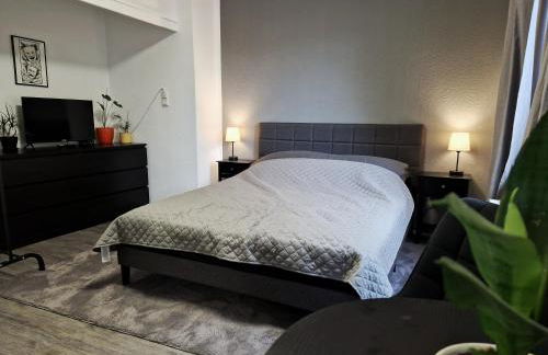 Business Apartment am Bergmannsheil KH Wlan - Foto 1