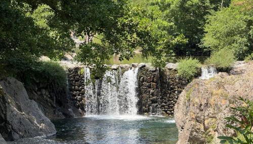 Les Cèdres - Photo 3