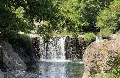 Les Cèdres - Foto 3