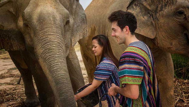 Elephant Sanctuary Trip - Foto 3