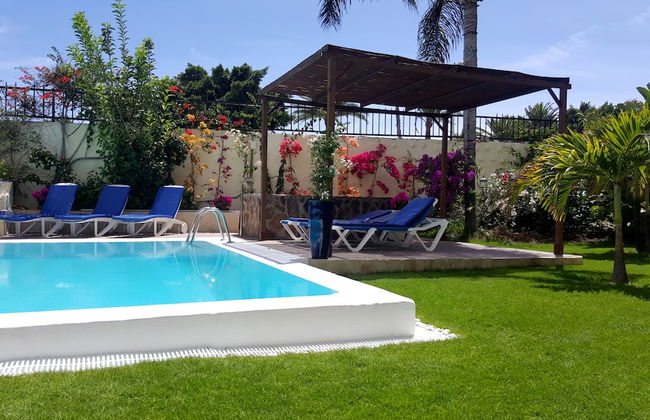 Vip Apartamentos Nogal - Foto 15