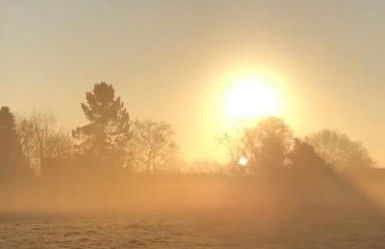 Hollybush Lodges - Foto 64