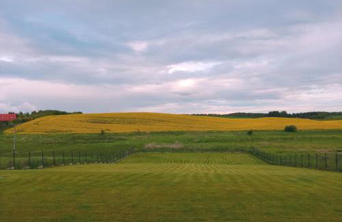 Dwa Wiatry - Foto 26