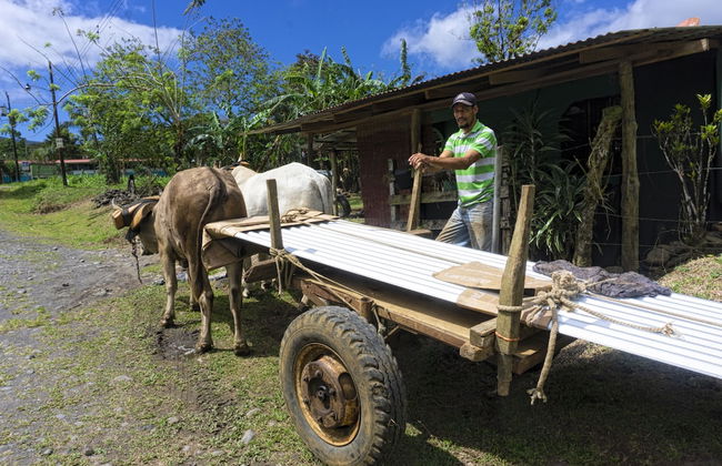 Oski Lodge - Foto 56