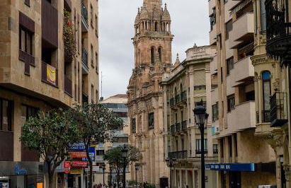 Homely Salamanca - Foto 55