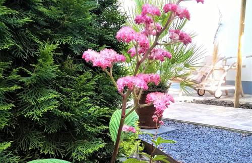 Ferienwohnung Anno1898 Zittau - Foto 28