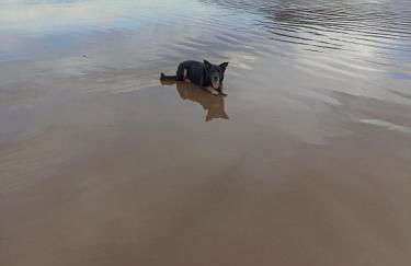 apartamento céntrico zona Marques de comillas 8 - Foto 38