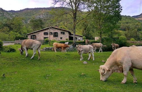 Hauzify I Apartament Bella Molina - Foto 18