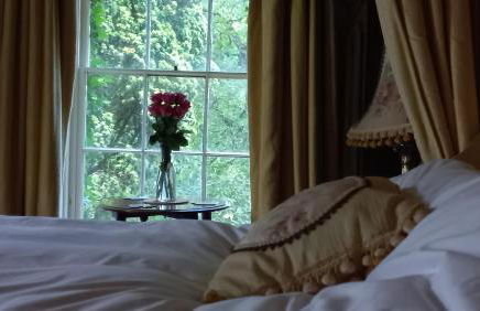 Gelly Dylan Thomas Paradise - Foto 26