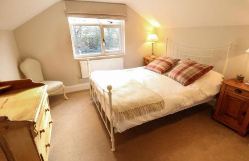 Natterjacks - Foto 37