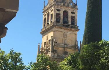 Conde de Vallellano - Foto 24