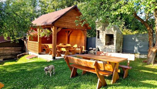 Przycup w Karkonoszach Apartamenty APARTAMENTY W OKOLICY KARPACZA 7 MINUT OD KARPACZA Marczyce SosnówkaKarkonosze, Karpacz, Szklarska Poręba- Sauna Fińska - Foto 2, Garden, Garden view, pet friendly