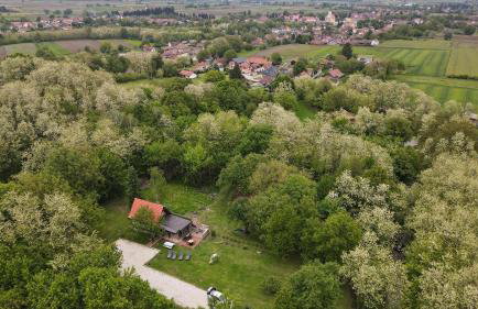 Ruralna kuća za odmor Marija - Photo 15