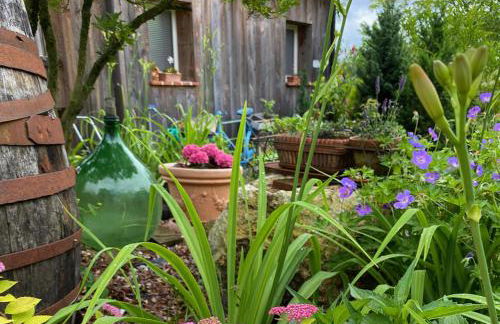 Casetta dipinta Fattoria dei fiori - Photo 30