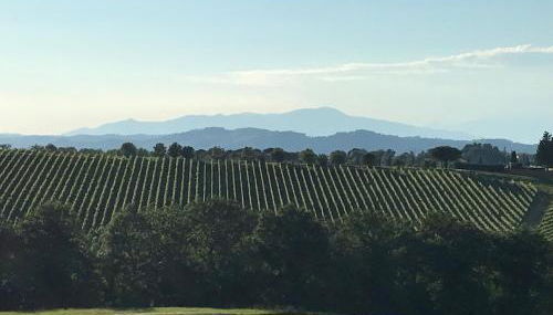 La Casina Sonia - Foto 4