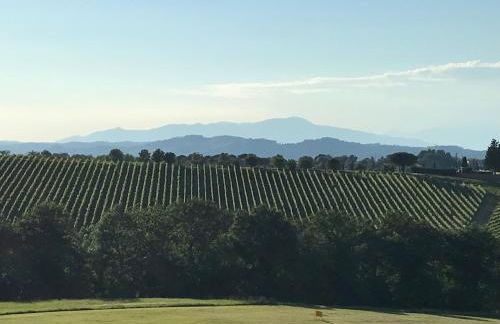 La Casina Sonia - Foto 4