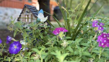 TimpCreek Cottage on the Stream Sundance Utah - Foto 3, Garden