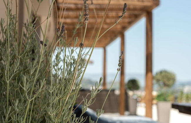 Ananta Blue Residence - Foto 75