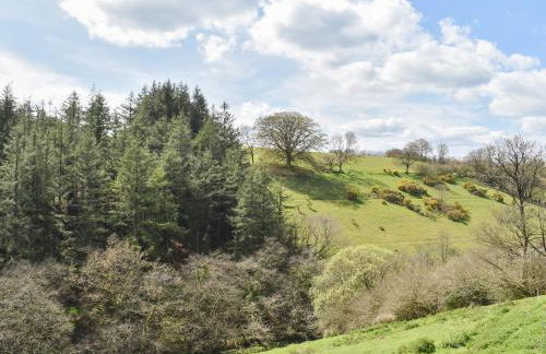 Slade Barn - Uk42977 - Foto 21