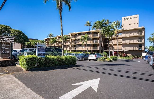 Hale Ono Loa by Coldwell Banker Island Vacations - Foto 50