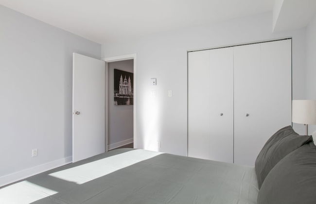 LMVR - The Bull - Foto 19