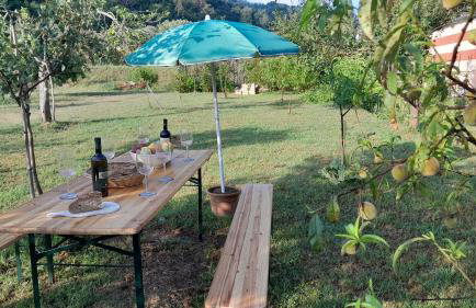 Casa Vanda - Photo 43