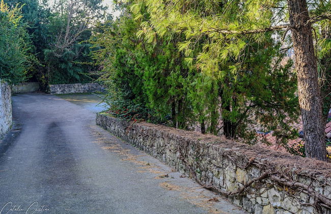 Casa delle Magnolie - Foto 24