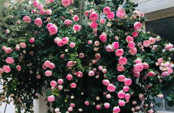 Saint dénis Appartement 1 - Photo 40