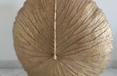 Residenza Bacchelli Cagliari - Foto 19