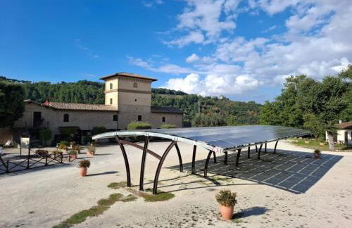 Valle Rosa - Photo 88