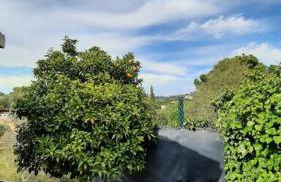 Whiskey on the Hill - Foto 31