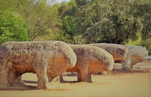 GREDOS RURALRUT cerca del CASTAÑAR de El Tiemblo, Reserva Natural VALLE DE IRUELAS, alojamiento acogedor con cabina hidromasaje, chimenea eléctrica, calefacción, wifi, cocina - Photo 54