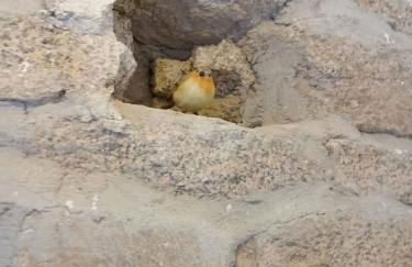 Charmante maison à Huelgoat avec jardin et terrasse - Foto 10