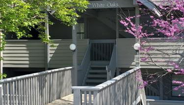 Treehouse Condos - Branson - Foto 2