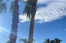 'Nº85' Oasis Beach X - Holiday Apartment - Foto 17